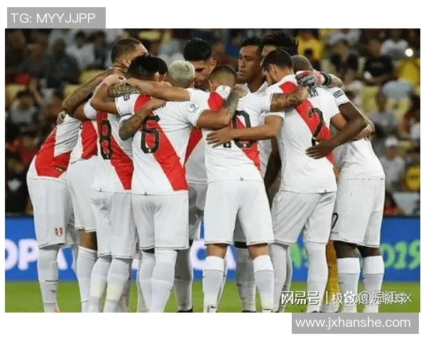 马尔默对阵松兹瓦尔比赛结果分析与精彩瞬间回顾